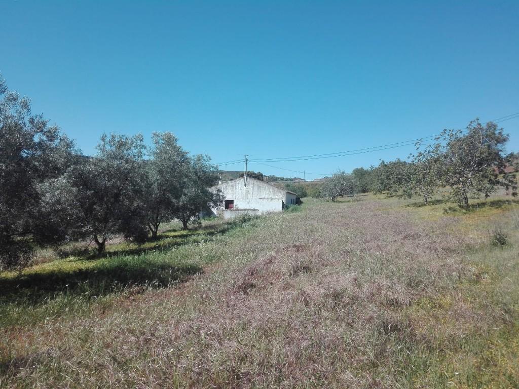 3 bedroom farm house for sale in Tavira, Algarve, Portugal