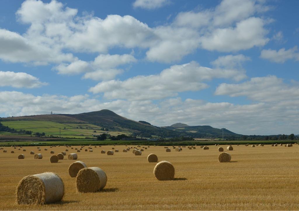 Main image of property: High Street, Strathmiglo, Fife, KY14