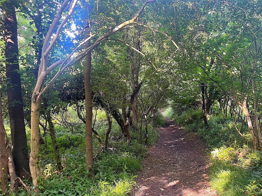 Main image of property: Woodland At Fownhope, Hereford, Herefordshire, HR1