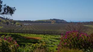 12 bed home in New Zealand - Marlborough