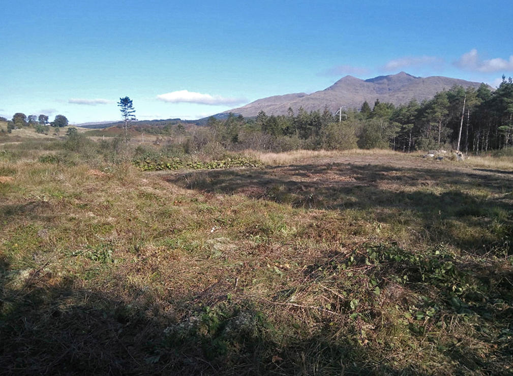 Plot for sale in Plot 3 at Ballimore Estate, Kilchrenan, PA35 1HD, PA35