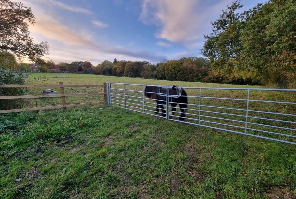 Land for sale in Right Hand Plot Land, South Hanningfield Road, South