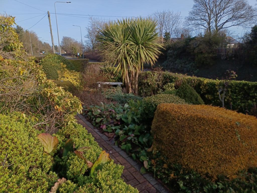 2 bedroom semidetached bungalow for sale in Stockton Road, Seaham