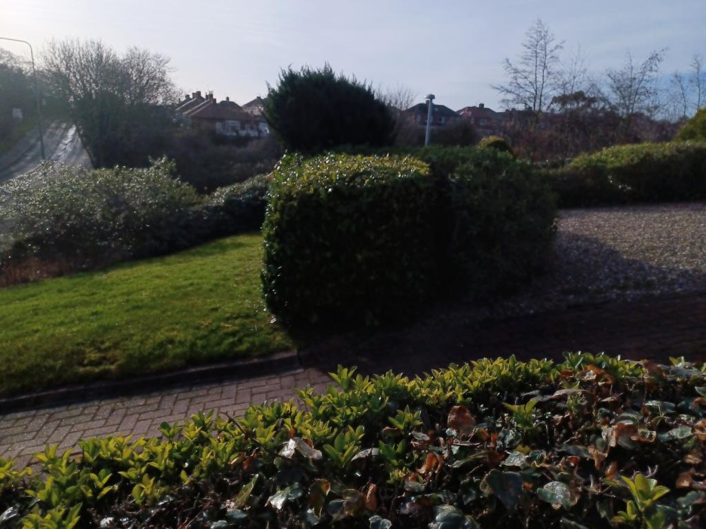 2 bedroom semidetached bungalow for sale in Stockton Road, Seaham