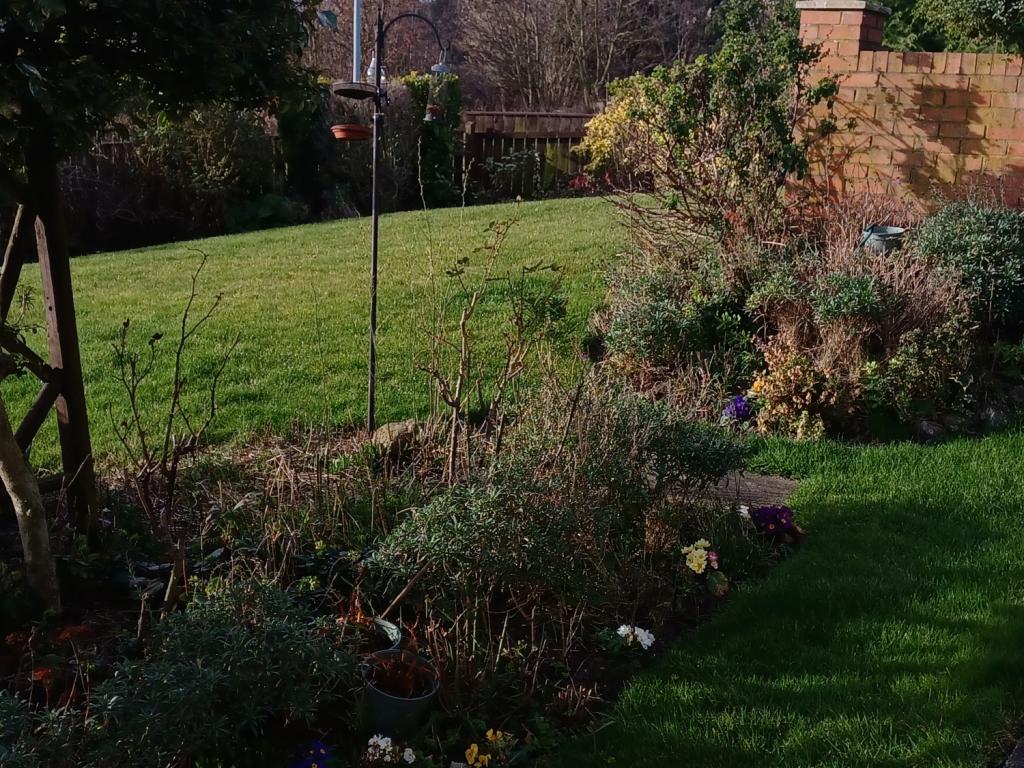 2 bedroom semidetached bungalow for sale in Stockton Road, Seaham