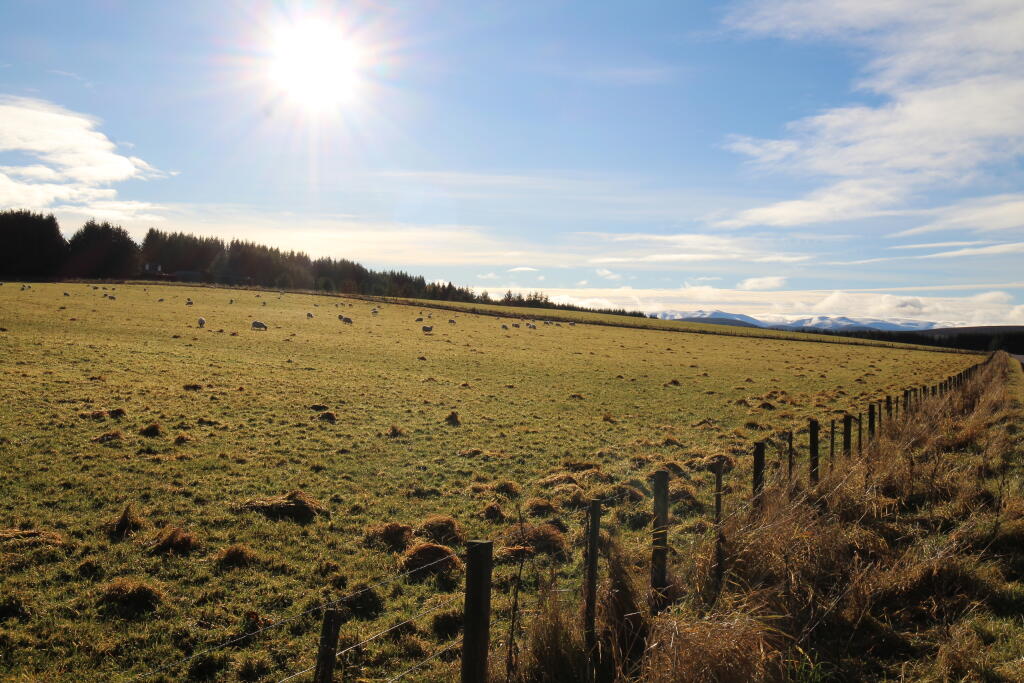 Additional property image - Main Street, Tomintoul, Moray, Highlands