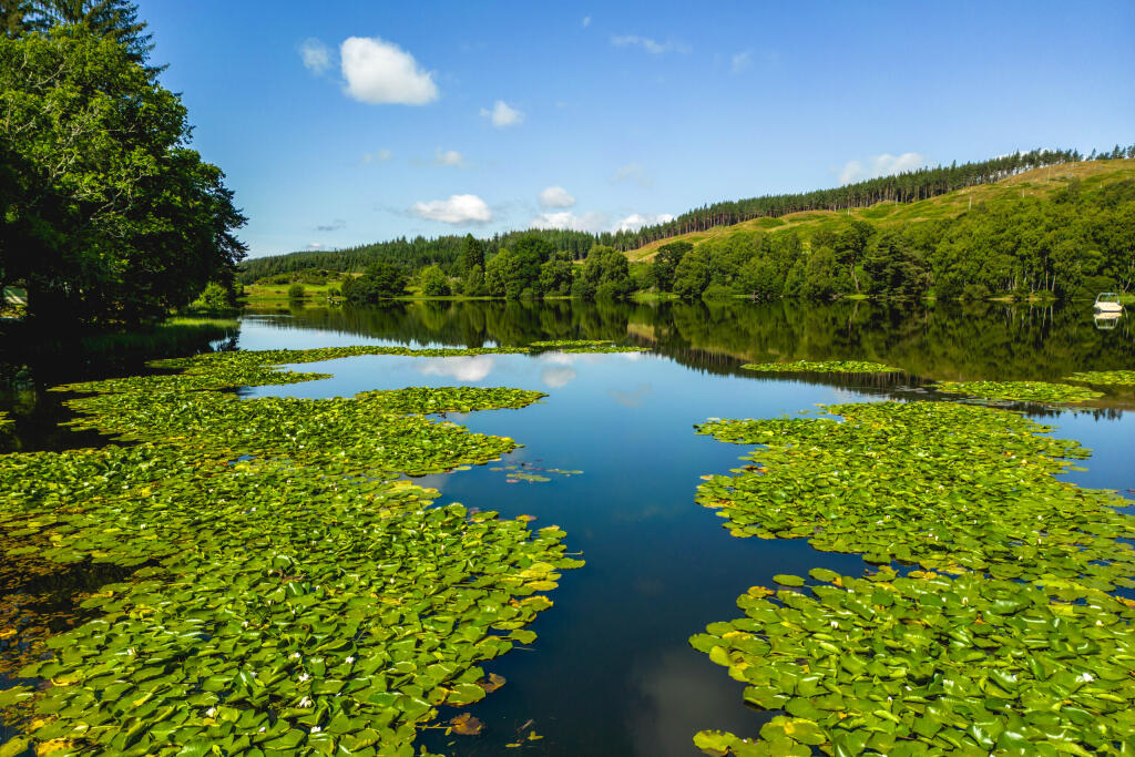 Additional property image - Aboyne, Aberdeenshire