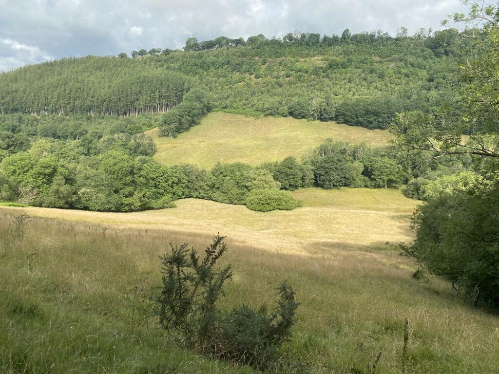 Land for sale in Halfway, Llandovery, Carmarthenshire., SA20