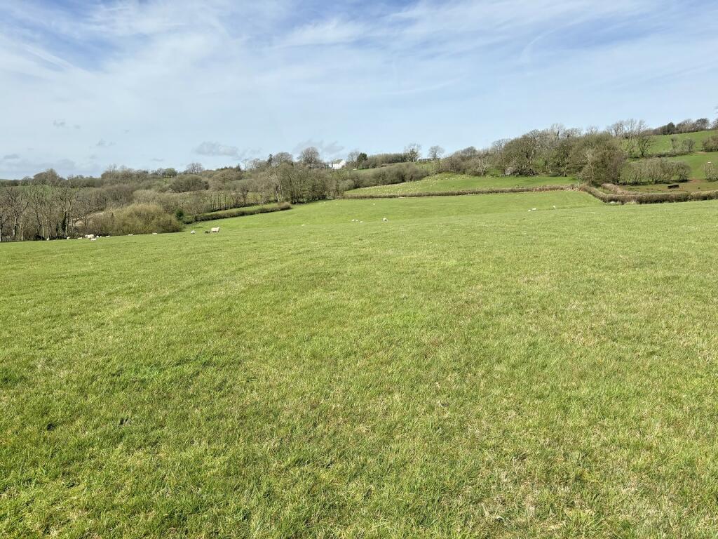 Land for sale in Lot 1 Approximately 10.3 acres of Pasture Land