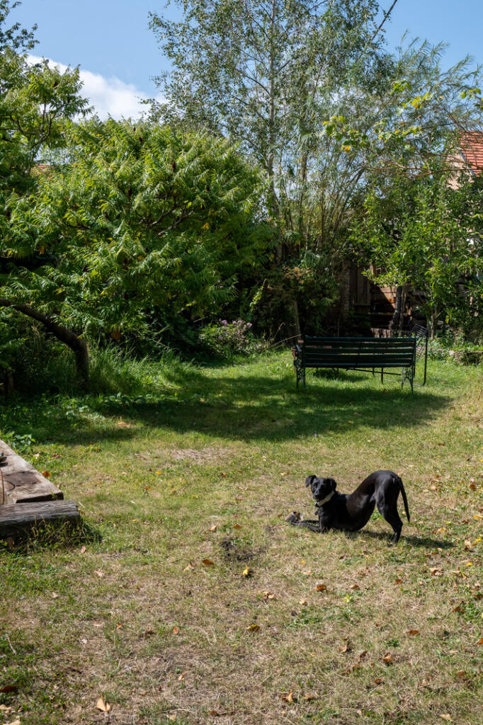 Additional property image - Lower Keyford, Frome, Somerset