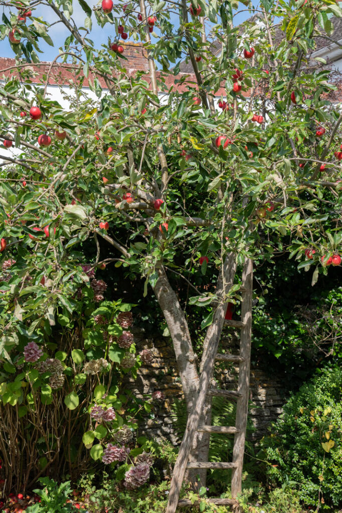 Additional property image - Lower Keyford, Frome, Somerset