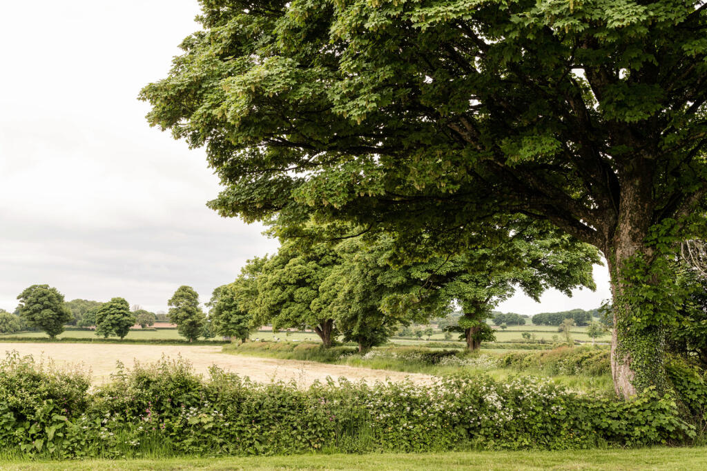 Additional property image - Bennetts Lane, Wells, Somerset