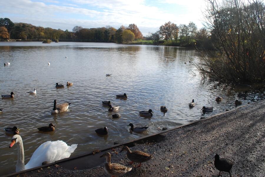 Additional property image - Plot B2 Shipley Lakeside, Pit Lane, Shipley, Heanor, Derbyshire