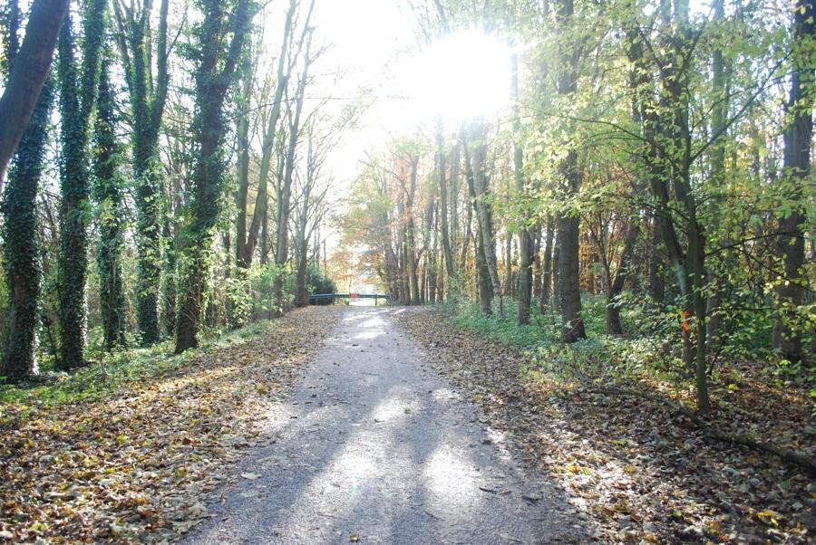 Additional property image - Plot B2 Shipley Lakeside, Pit Lane, Shipley, Heanor, Derbyshire
