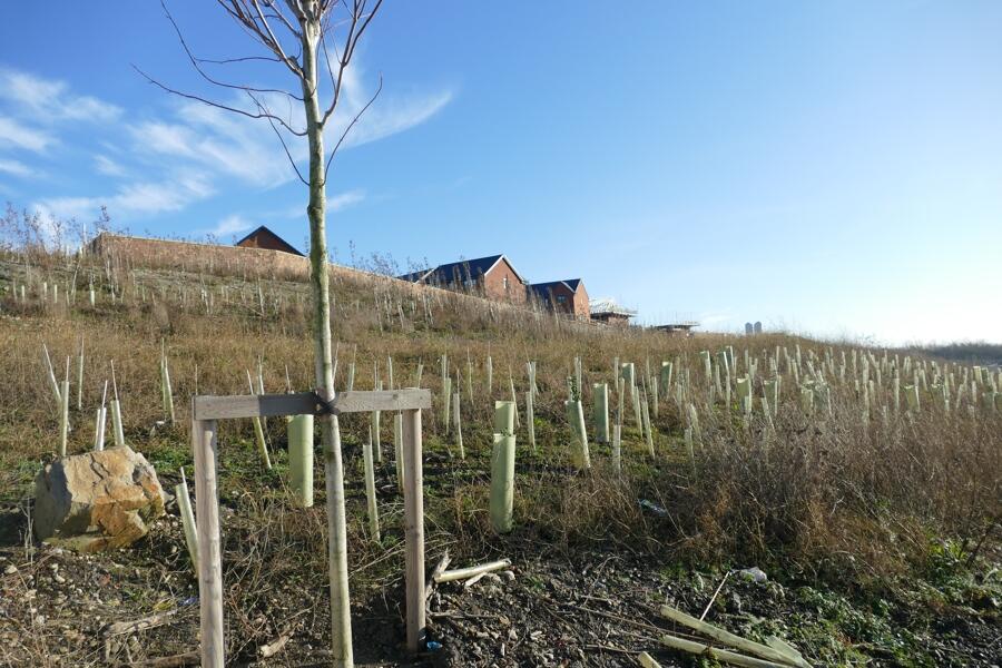Additional property image - Plot B2 Shipley Lakeside, Pit Lane, Shipley, Heanor, Derbyshire