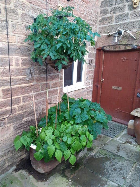 1 bedroom end of terrace house for sale in Main Street, East Keswick