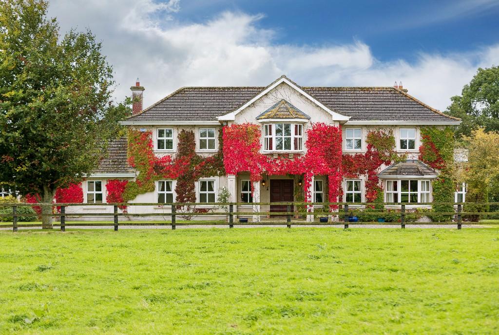 5 bedroom detached house for sale in Newbridge, Kildare, Ireland