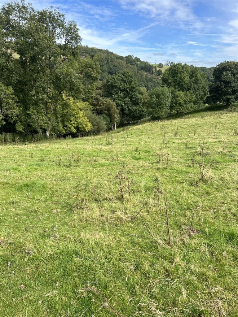 Land for sale in Land At Efail Y Cwm, Llanfihangel, Llanfyllin, Powys, SY22