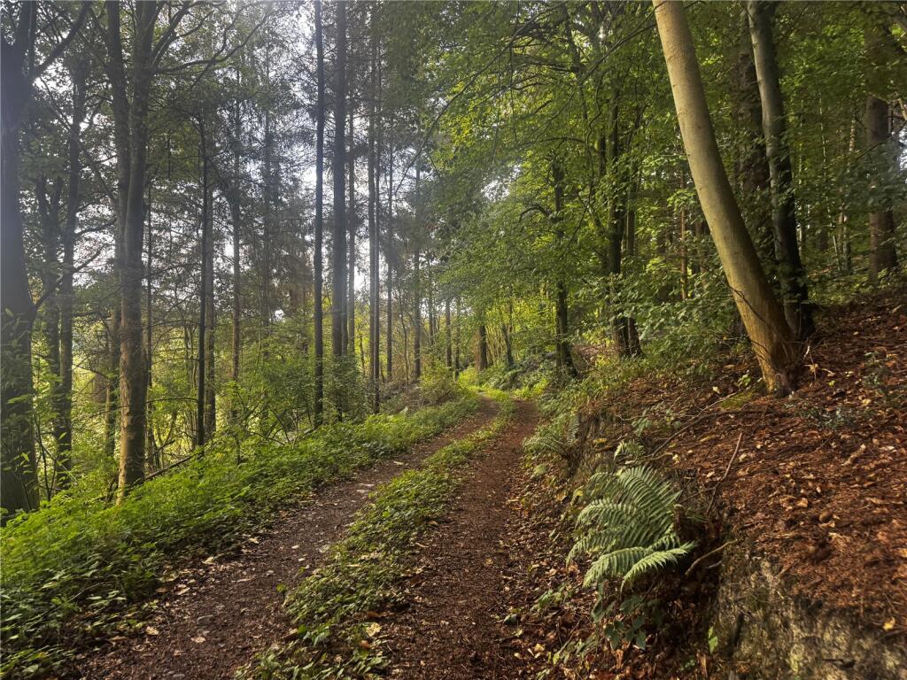 Main image of property: Penthryn Wood, Berriew, Welshpool, Powys, SY21