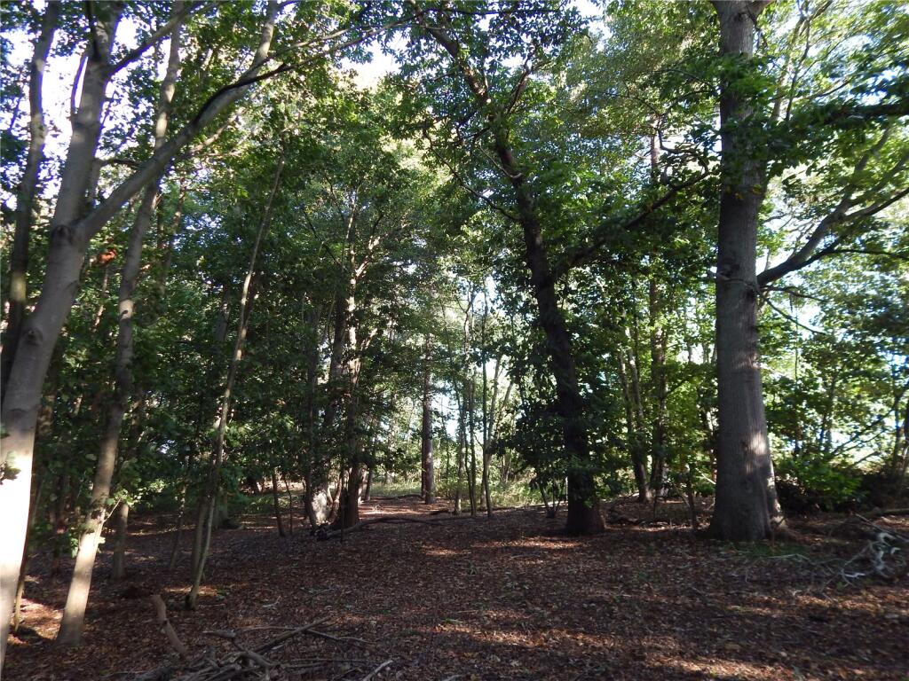 Main image of property: Sunnyside, Bergh Apton, Norwich, Norfolk