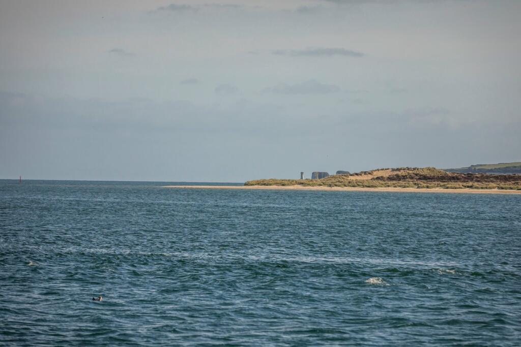 Additional image 3 of 82 Banks Road, Sandbanks, Poole, BH13