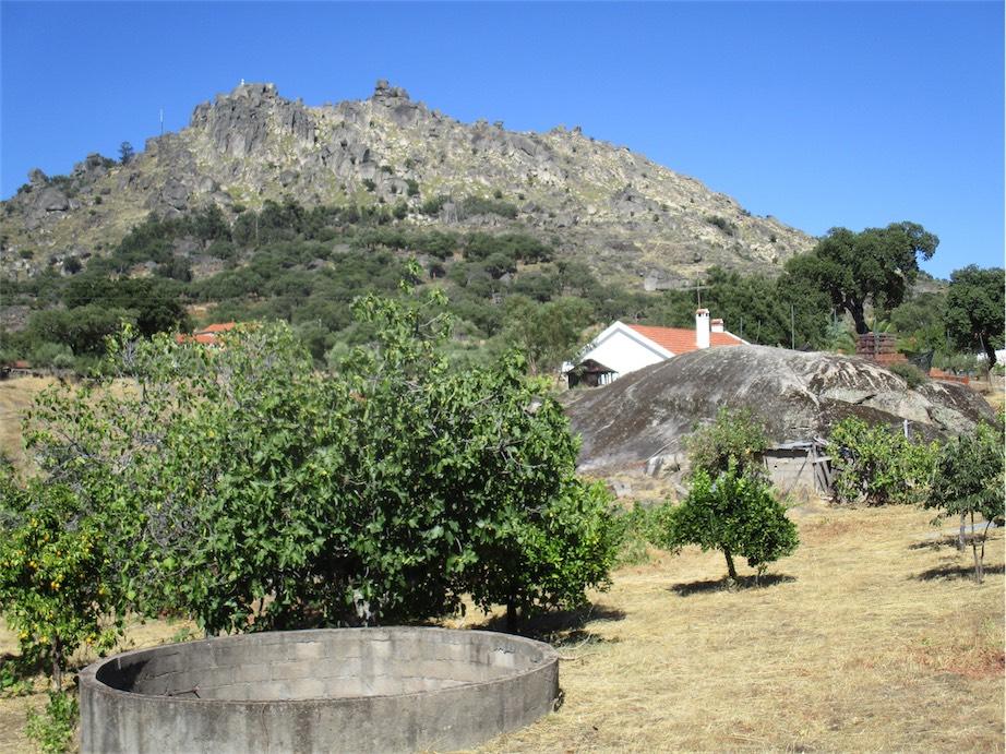 Farm land for sale in Monsanto, Beira Baixa, Portugal