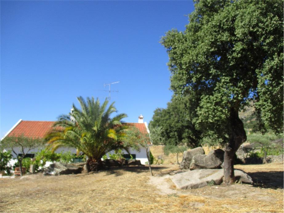 Farm land for sale in Monsanto, Beira Baixa, Portugal