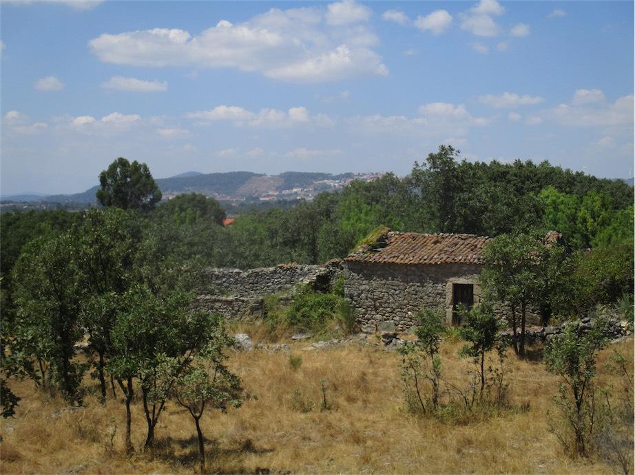 Farm land for sale in Penamacor, Beira Baixa, Portugal