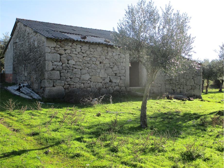 Farm land for sale in Fundão, Beira Baixa, Portugal