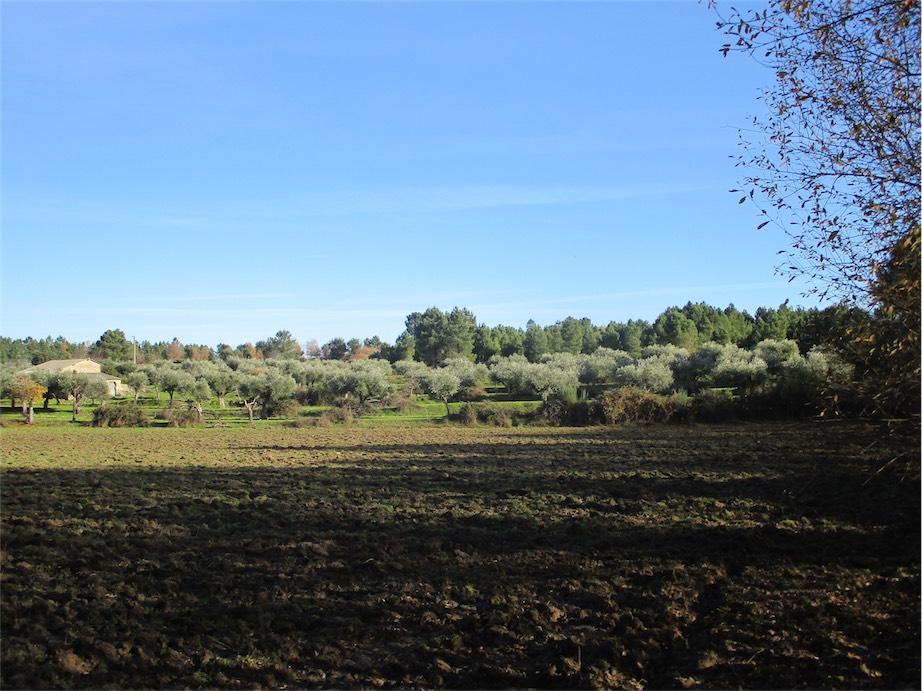 Farm land for sale in Fundão, Beira Baixa, Portugal