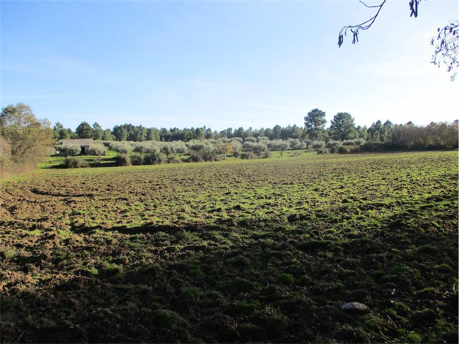 Farm land for sale in Fundão, Beira Baixa, Portugal