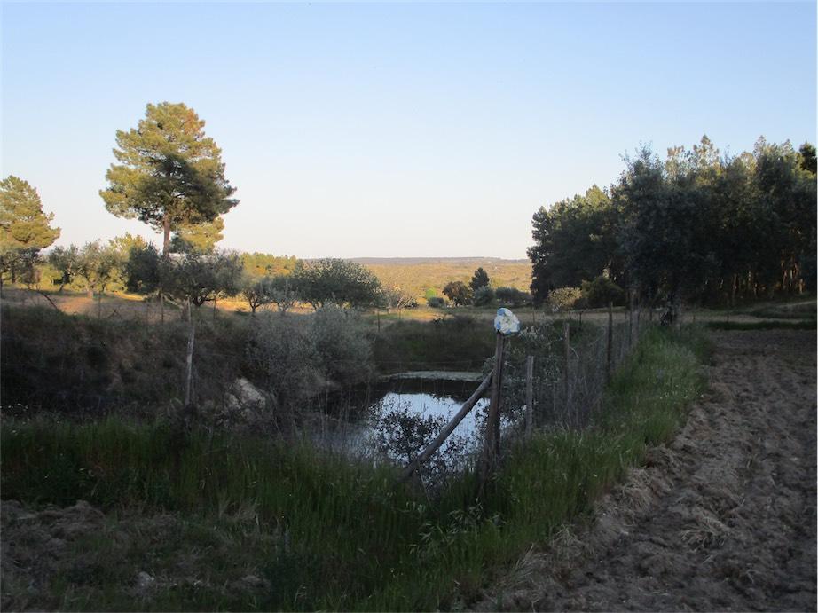 Farm land for sale in Fundão, Beira Baixa, Portugal