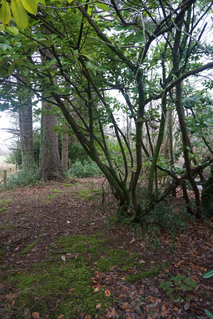 Additional property image - Glenwood, Ravenglass, Cumbria CA18 1RN
