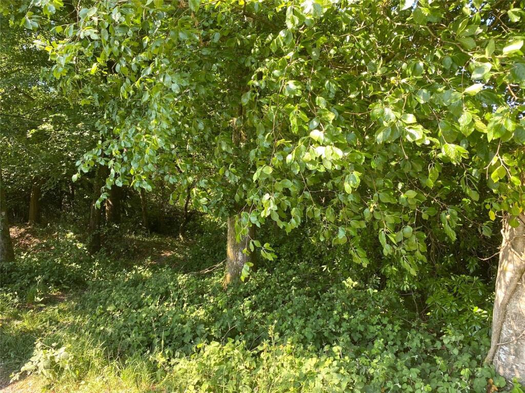 Additional property image - South Drive, Ossemsley, New Milton, Hampshire, BH25