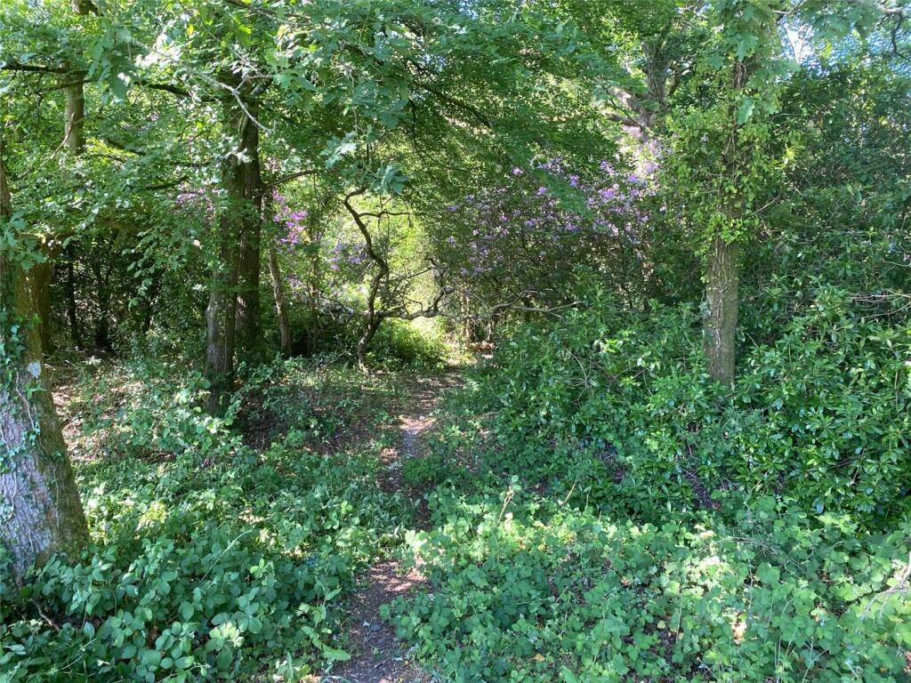 Additional property image - South Drive, Ossemsley, New Milton, Hampshire, BH25