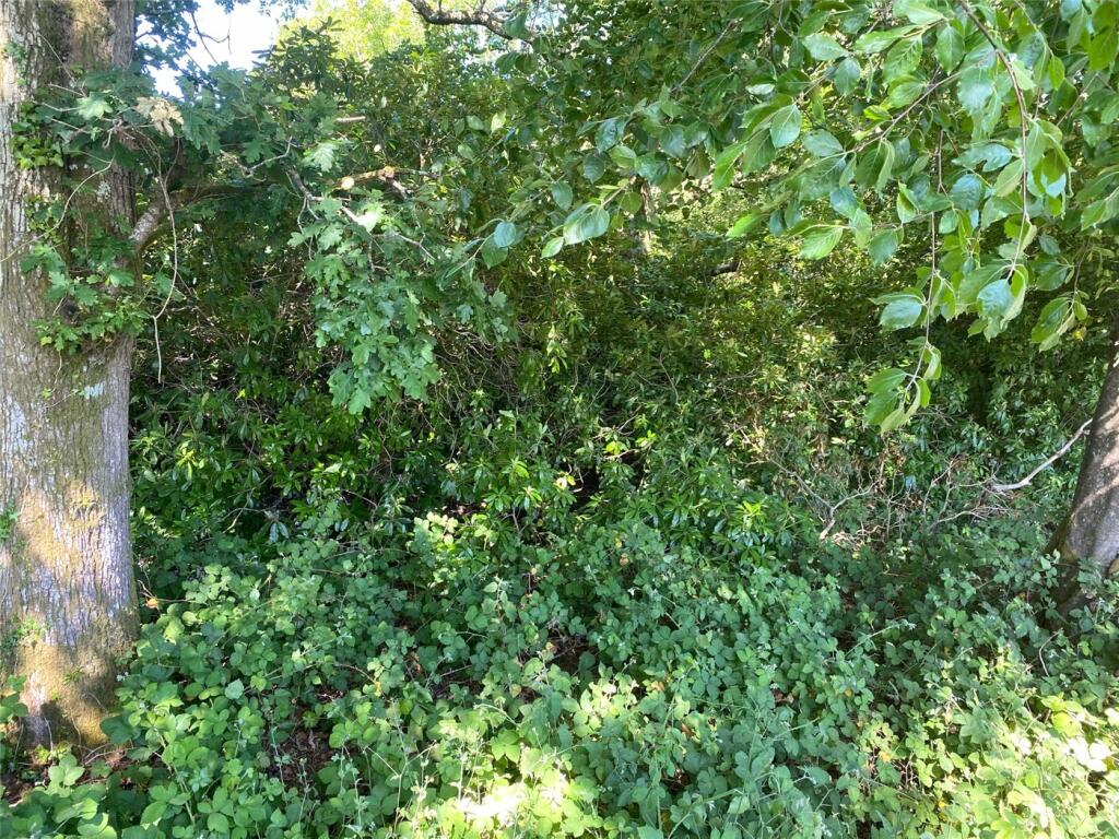 Additional property image - South Drive, Ossemsley, New Milton, Hampshire, BH25