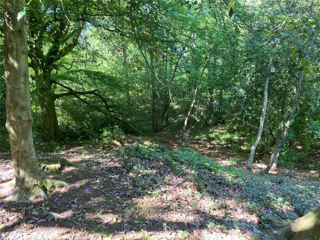 Additional property image - South Drive, Ossemsley, New Milton, Hampshire, BH25