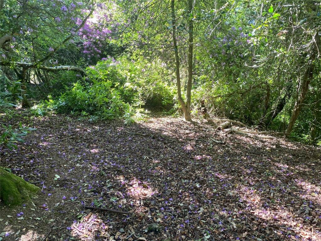 Additional property image - South Drive, Ossemsley, New Milton, Hampshire, BH25