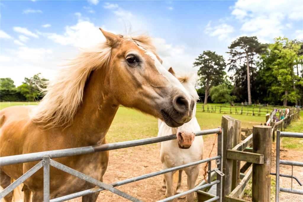 Equestrian facility for sale in Impney, Droitwich, Worcestershire, WR9