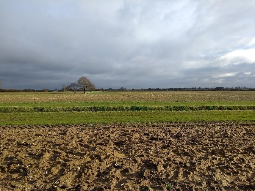 Land for sale in Hepworth Road, Barningham, Bury St Edmunds, Suffolk, IP22