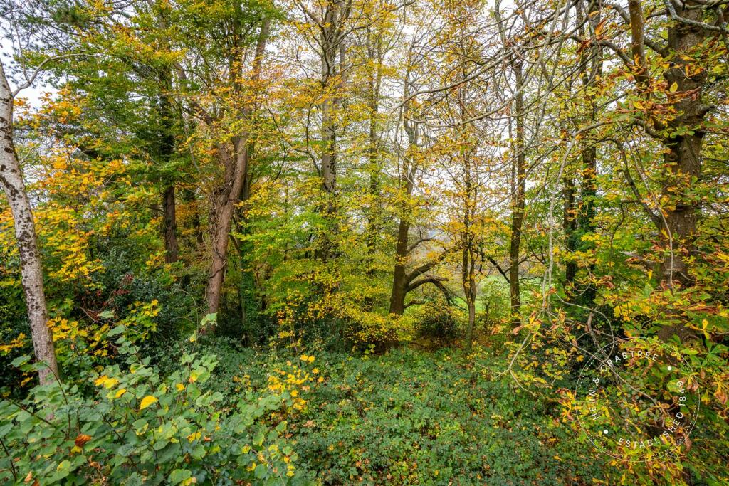 Additional property image - Great House Farm, Michaelston Road, St. Fagans, Cardiff