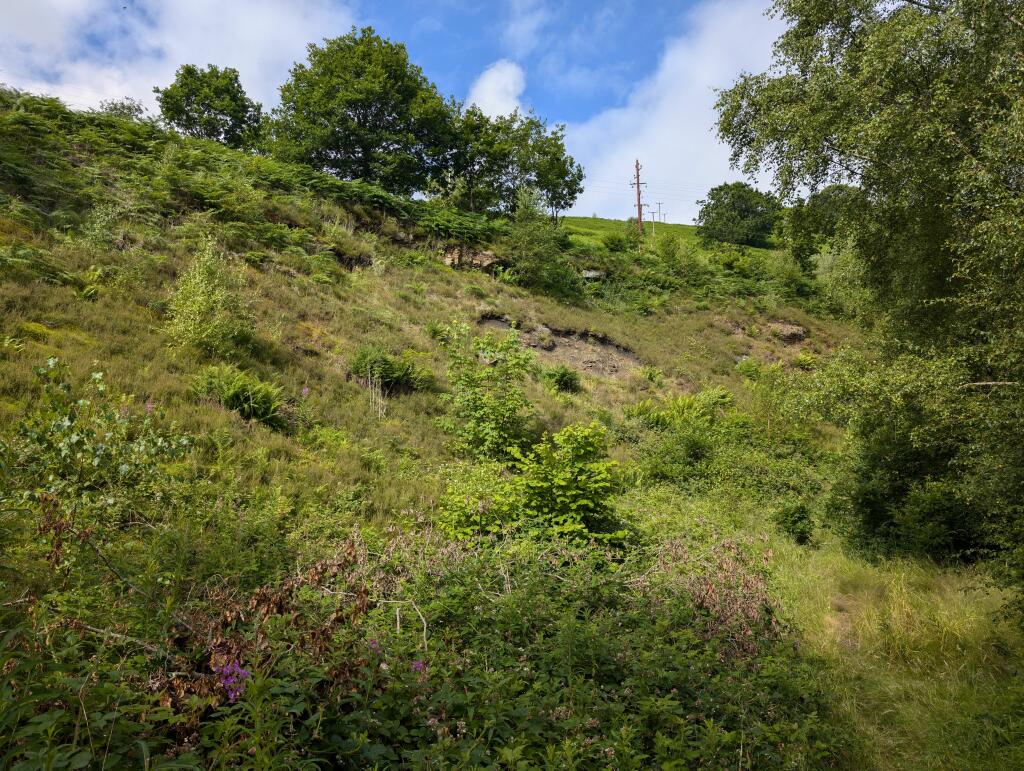 Additional property image - Land adjacent to, Llanwonno Road, Mountain Ash, CF45 3NB