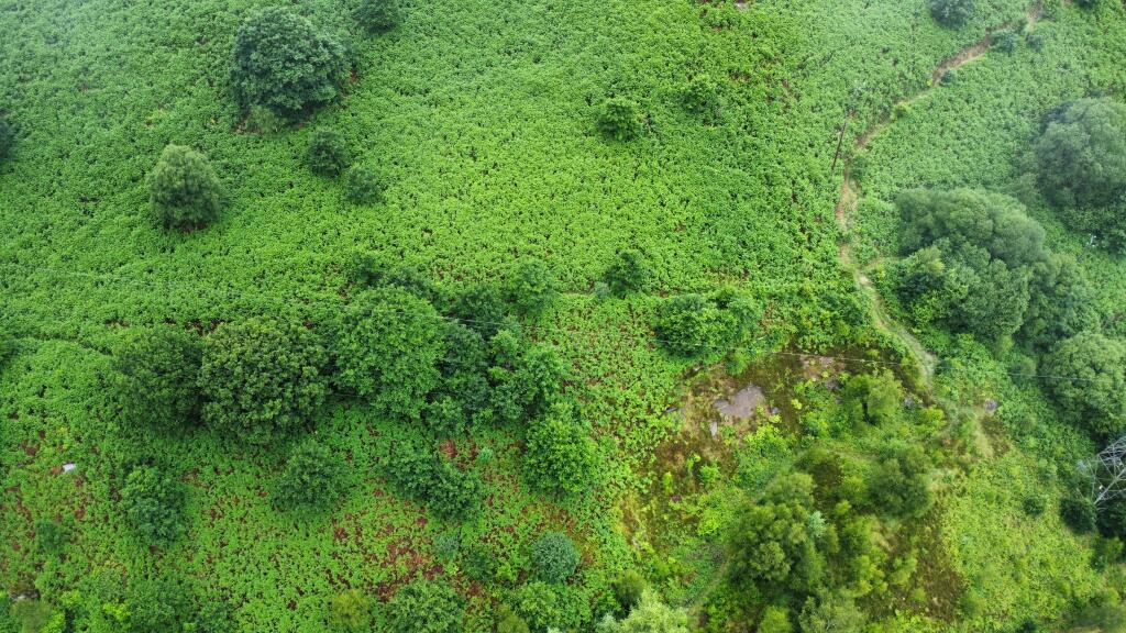 Additional property image - Land adjacent to, Llanwonno Road, Mountain Ash, CF45 3NB