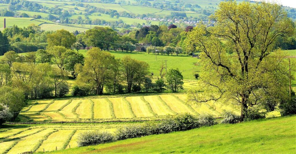 Additional property image - Thornton In Craven, Skipton