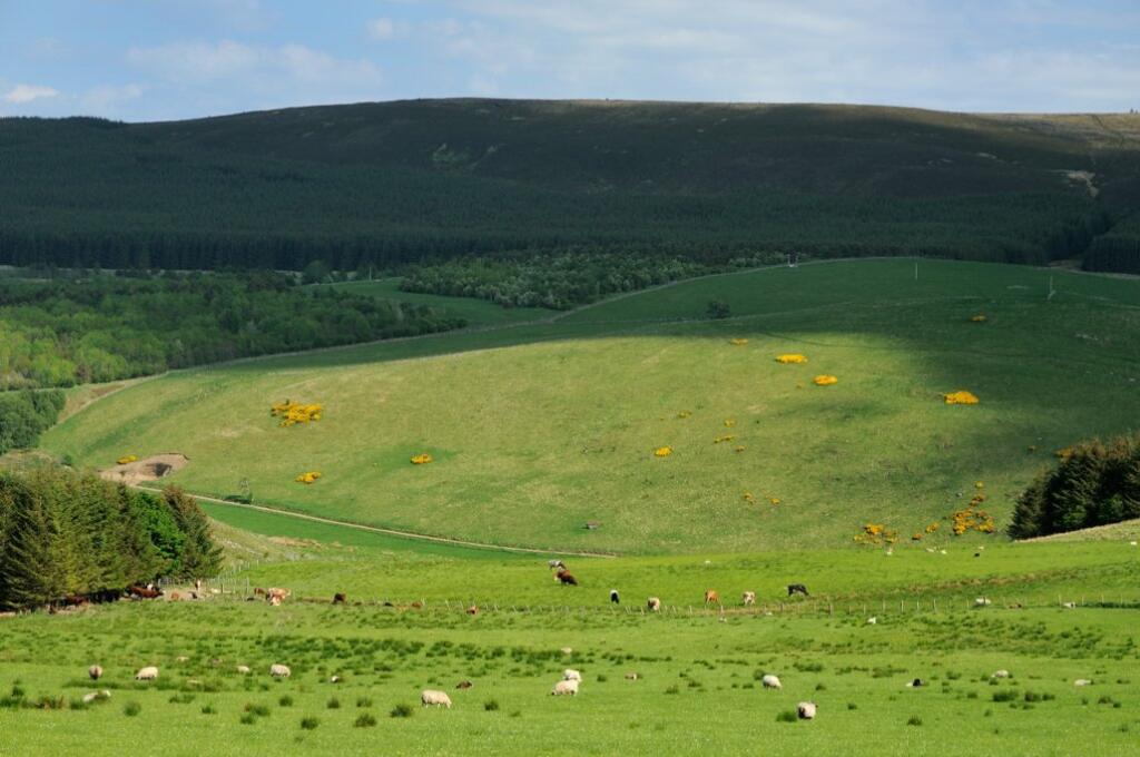 Additional property image - Glass, Huntly, Aberdeenshire