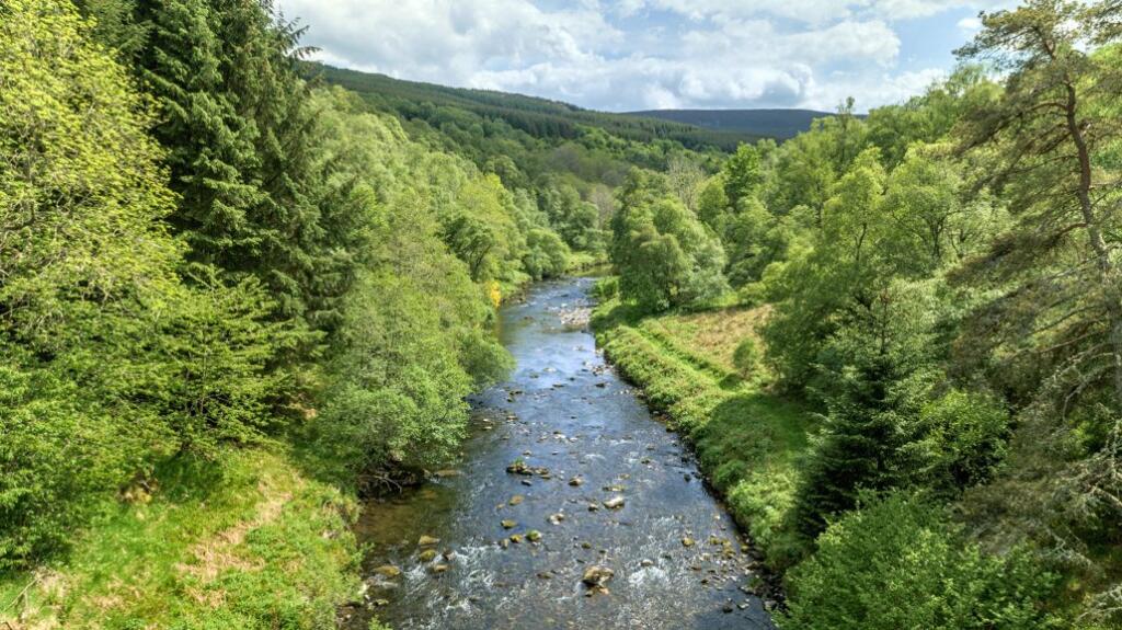 Additional property image - Glass, Huntly, Aberdeenshire