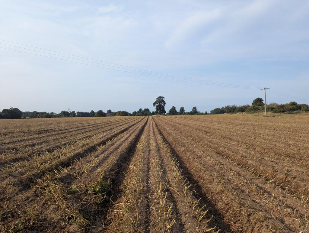 Main image of property: Saxmundham, Suffolk