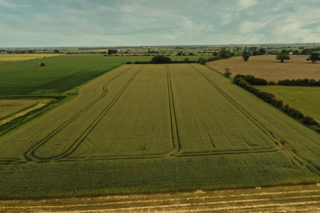 Main image of property: London Road, Chatteris