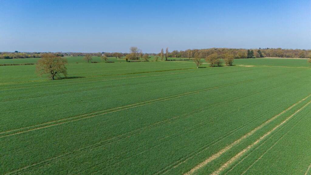 Main image of property: Blake End, Rayne, Braintree, Essex