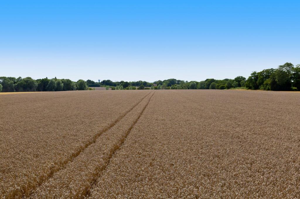 Main image of property: Metfield Road, Fressingfield, Eye, Suffolk